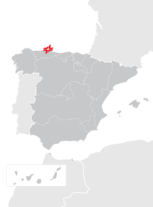 mapa puertos suministro combustibles marinos cepsa gijon