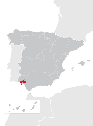 mapa puerto combustible huelva cepsa